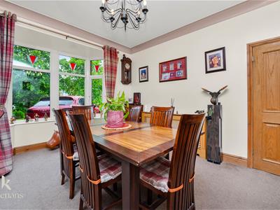 Picture 41
